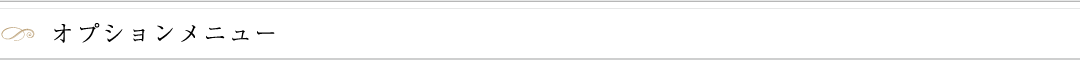 オプションメニュー