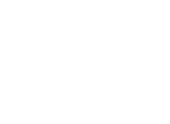 Voice4